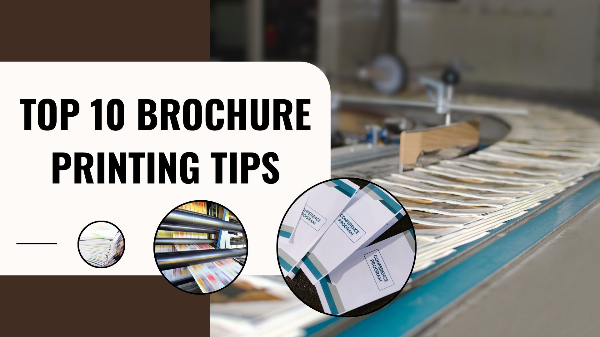 Top 10 Brochure Printing Tips That Every Business Should Know